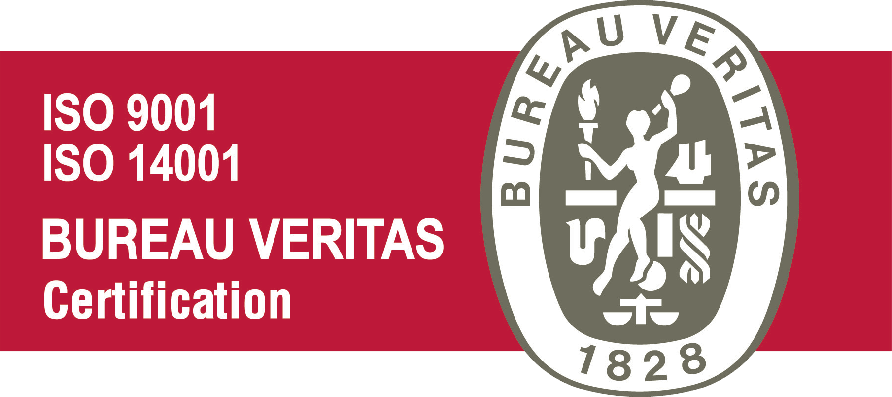 logo cepas